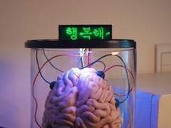 인터넷에서 어그로 끄는법(네이트판 편)