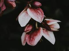 나중에 볼 수 있다면.