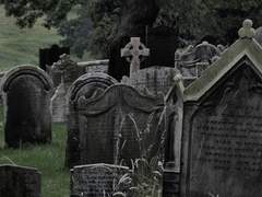 어떤 한 문장은 떠돌이의 심장에도 돌처럼 박혀서 죽을 때까지 제 피의 궤도를 벗어날 수 없습니다*