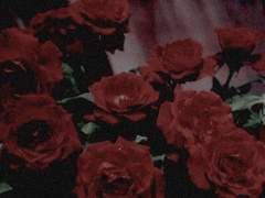 고결함의 기준점 [02]