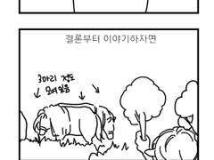 문과적 이과감성 58