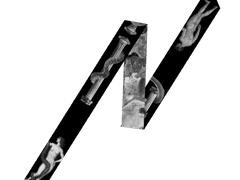 Original Sin 원죄 트윌리 스카프 - 블랙