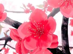 겨울에 피어난 매화 꽃송이