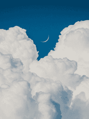 안개가 걷히는 날까지