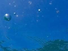 자고로 창작자의 자세란.