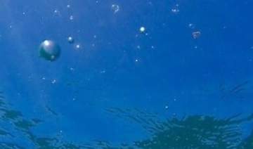 자고로 창작자의 자세란.