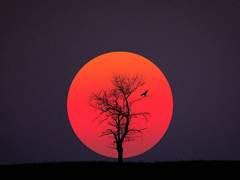 실렌프리의 기사들_Prologue