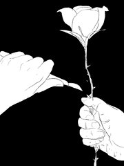 장미 흉터 (2022-)