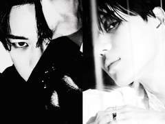 뱀파이어 누아르