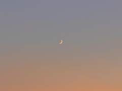 우리의 추억은 사진으로 고스란히