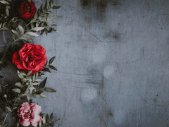 02. 젠리와 카페에서 대화를.