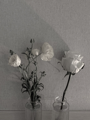 줍고보니 남주가 아닌 흑막인 사연