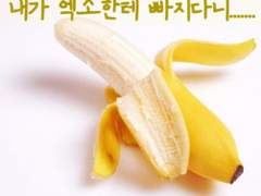 [종료] 복덩이 베이커리 오늘부터 한 편씩 무료 공개