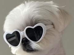 엔시티드림 포토매틱 도안 공유