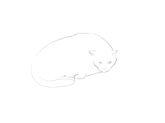 고영희 슈거 크로키~