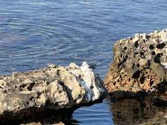 1인치 VS 1/1.28인치