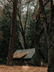 클래식 호러 스토리