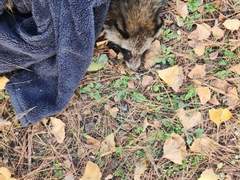 음 일단 상황 설명을 하자면