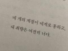 우리는 어쩌면 서로를.