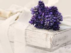 이토록 기쁘고도 환상적인 죽음.