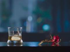 진달래 가지의 끝에는