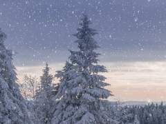 [조각글] 요즘 일상 - 겨울