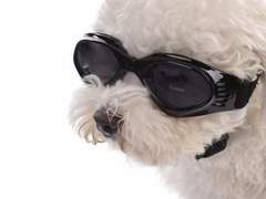 젓가락질 잘해야만 밥을 먹나요 +