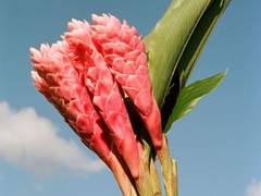 <풀 패덤 파이브> 추천곡