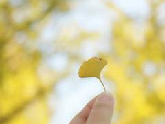 [츠카에무] 두근두근 비밀 작전! (1)