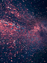 고독한 피글렛의 총수시리즈