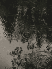 그 남자의 기억법