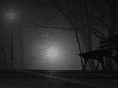 솔릭티드 헌터_남_26_무