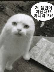 쿰쩎쿰쩍 내 망상들