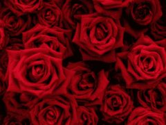 Love me Please 그래, 구석까지.