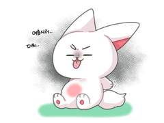 버미호의 다섯번째 일상