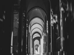 리암과 리들의 관계성 설정 타로