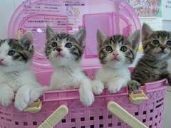 월야밀회[月夜密會]-9