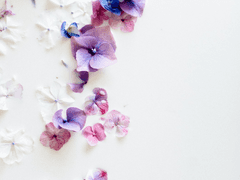 Kep1er :: Happy Ending