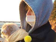 투바투 최범규 더보이즈 이재현 아이브 장원영 우주소녀 이여름