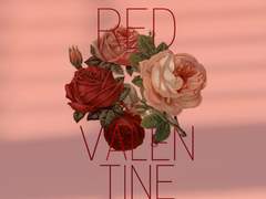 레드발렌타인 6