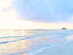 며칠 전부터 냉동실에 있던 볶음밥이 먹고 싶었는데