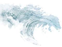 [필적커 프로필]