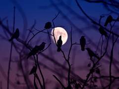 뭐든 처음은 서투른 법이지.