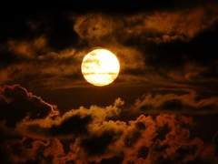 어둠 속을 밝히는 불꽃