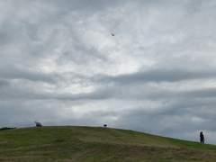 하늘을 나는 연처럼 세상을 살아가길!
