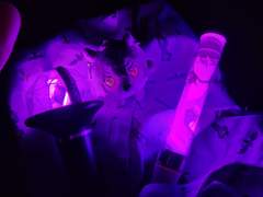 드림라이브(스타라이) 7th 감상