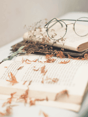 로그들(푸딩, 릴리)