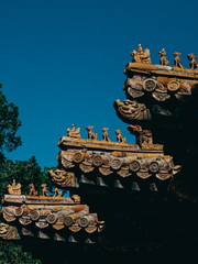 천희조락연의(天禧凋落演義)