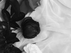 回歸線(회귀선). 九