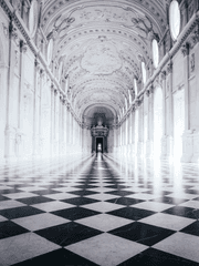 디페 세실리아&쇼페콜티안 로한